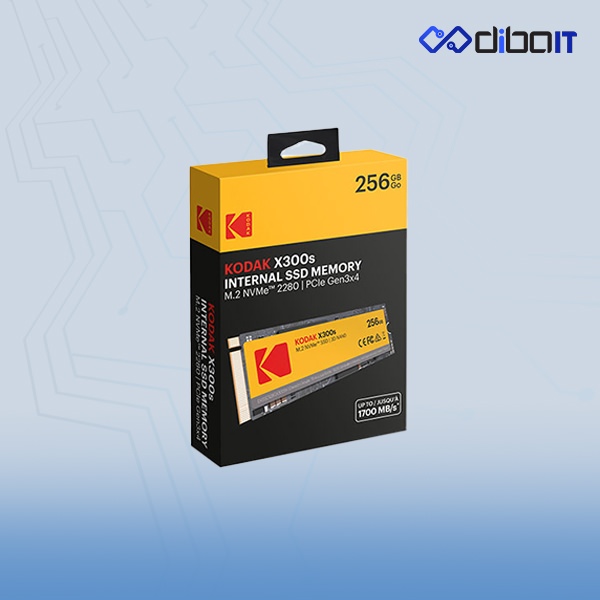 اس اس دی اینترنال کداک مدل X300s M.2 ظرفیت 256 گیگابایت