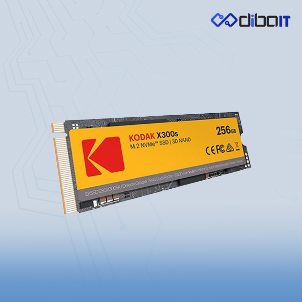 اس اس دی اینترنال کداک مدل X300s M.2 ظرفیت 256 گیگابایت