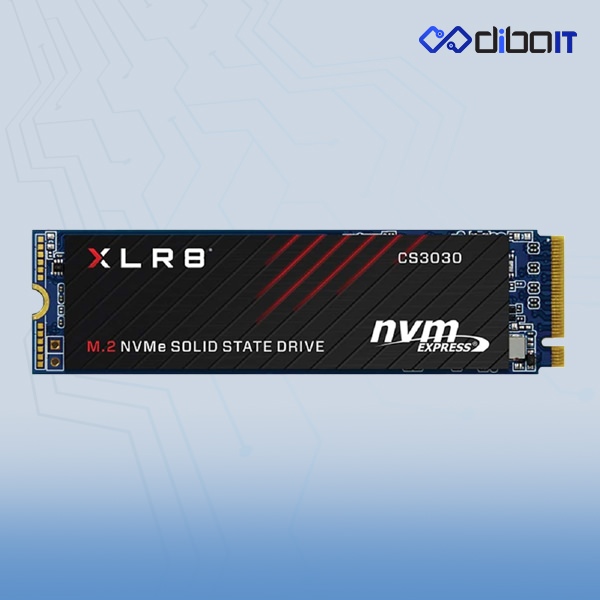 اس اس دی اینترنال پی ان وای مدل CS3030 ظرفیت 250 گیگابایت