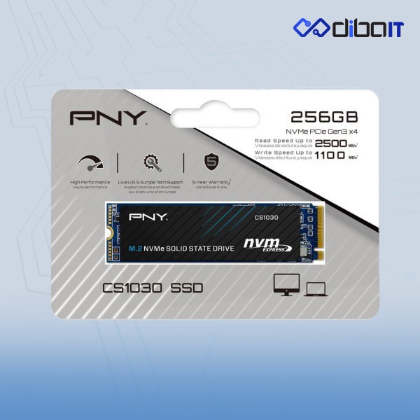 اس اس دی اینترنال پی ان وای مدل CS1030 M.2 ظرفیت 1 ترابایت