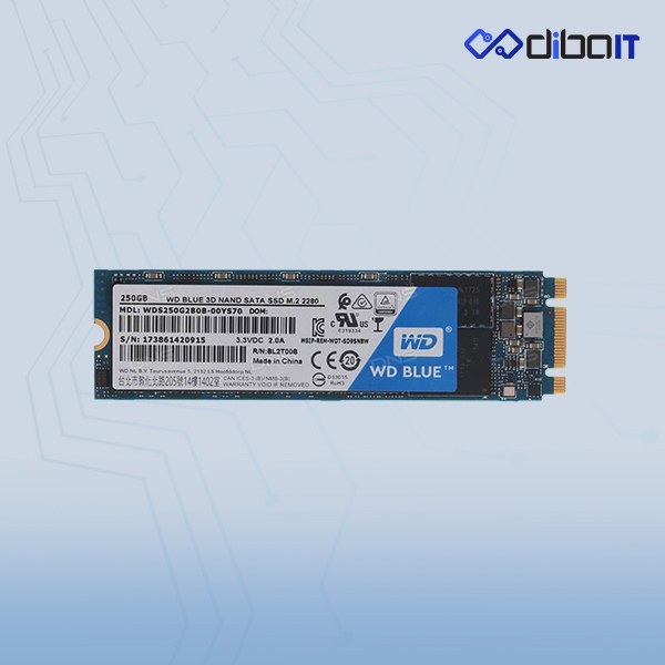 حافظه SSD وسترن دیجیتال مدل BLUE WDS250G2B0B ظرفیت 250 گیگابایت